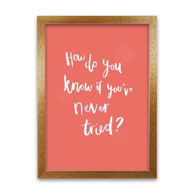 How Do You Know If You've Never Tried A by Laura Irwin - Graphic Art Print on Paper Maturi Size: 59.4cm H x 42cm W x 3cm D, Frame Option: Oak Framed on Productcaster.