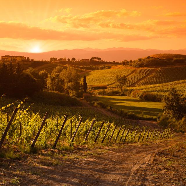 Chianti Region Hills At Sunset - Print 17 Stories Size: 91cm H x 91cm W x 3.8cm D on Productcaster.