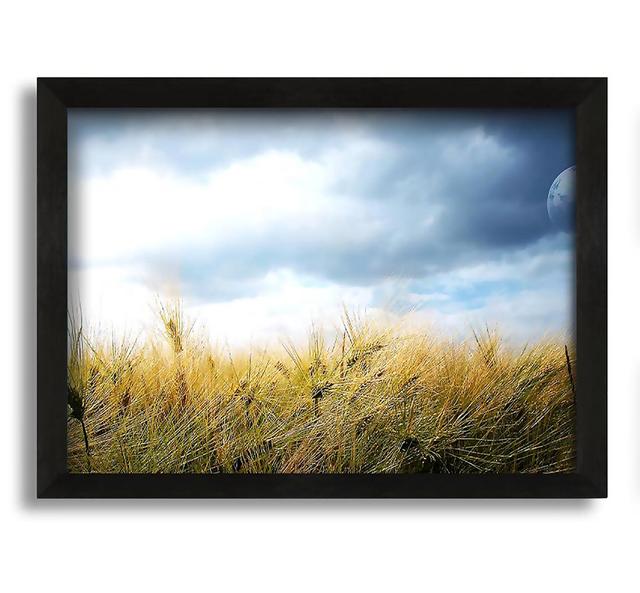 Dreamy Fields - Photograph on Canvas Brayden Studio Size: 21cm H x 30cm W x 10cm D on Productcaster.