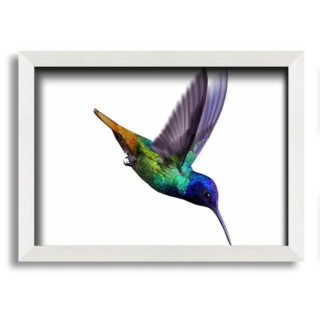 Searingtown Hummingbird Colours - Single Picture Frame Art Prints 17 Stories Size: 42cm H x 59.7cm W x 10cm D on Productcaster.