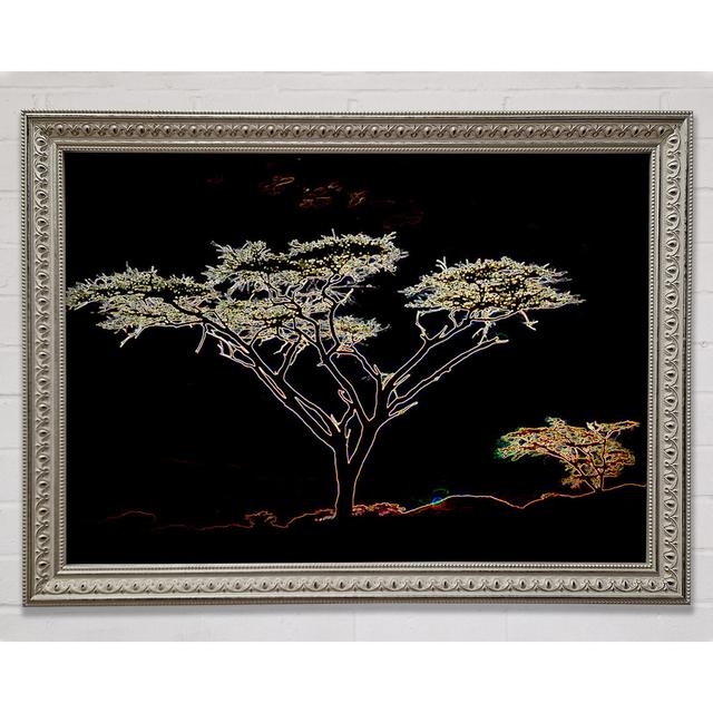 Night Tree - Single Picture Frame Art Prints Bright Star Size: 21cm H x 29.7cm W on Productcaster.