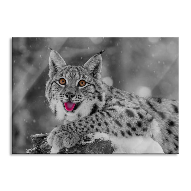 Lynx On A Snow-Covered Tree Stump - No Frame Print on Glass Brayden Studio Size: 70cm H x 100cm W x 0.4cm D on Productcaster.