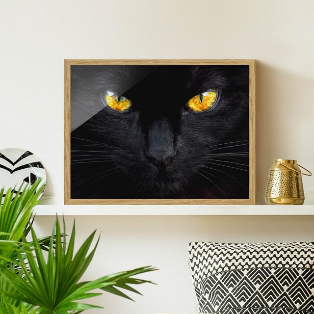 Hypnotic Look - Picture Frame Graphic Art Rosalind Wheeler Frame Option: Brown Framed, Size: 50cm H x 70cm W x 2cm D on Productcaster.