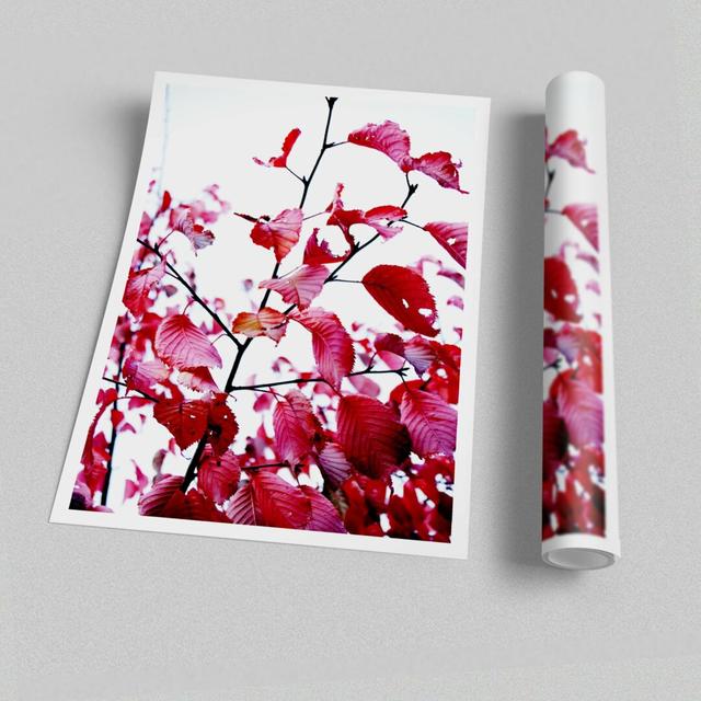 'Red Leaves in Autumn Flowers' - Unframed Photograph Print on Paper East Urban Home Size: 141.4cm H x 100cm W on Productcaster.