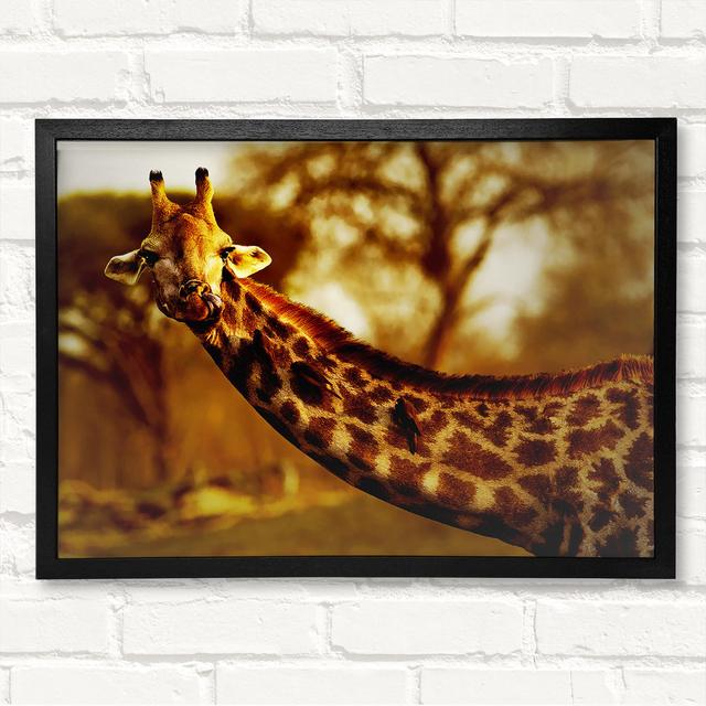 Giraffe Neck For Birds Framed Print Latitude Run Size: 29.7cm H x 42cm W on Productcaster.