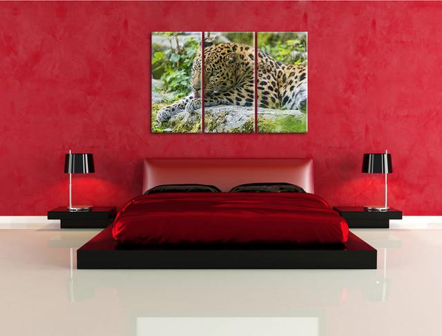 3-tlg. Leinwandbilder-Set Prächtiger Leopard beim Putzen , Fotodruck Pixxprint on Productcaster.