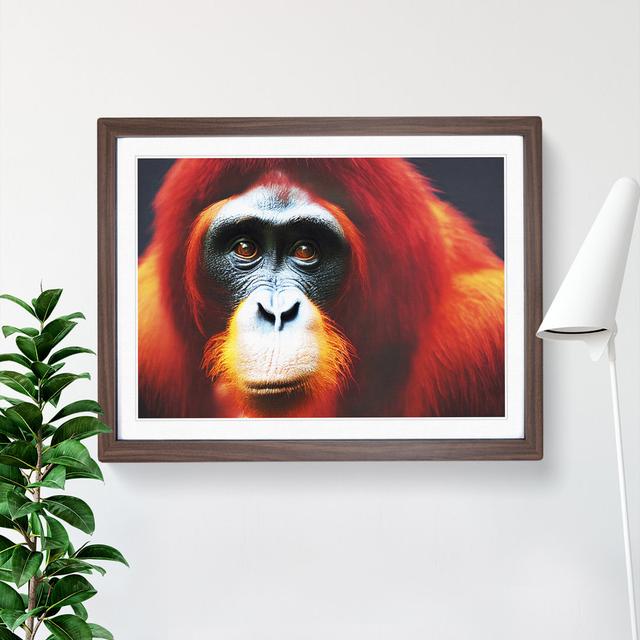 Enlivening Orangutan - Picture Frame Graphic Art 17 Stories Size: 46cm H x 64cm W x 2cm D, Frame Colour: Walnut on Productcaster.