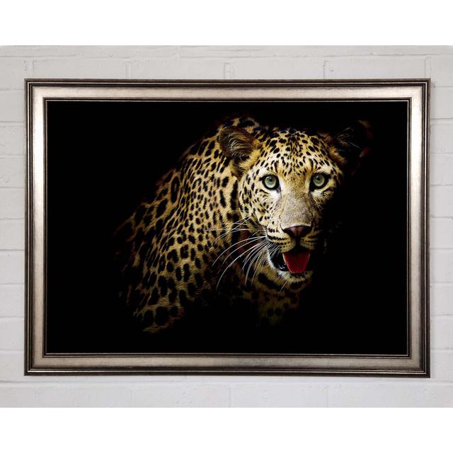 Curious Leopard Framed Print Brayden Studio Size: 42cm H x 59.7cm W x 1.5cm D, Format: Gunmetal Framed Paper on Productcaster.