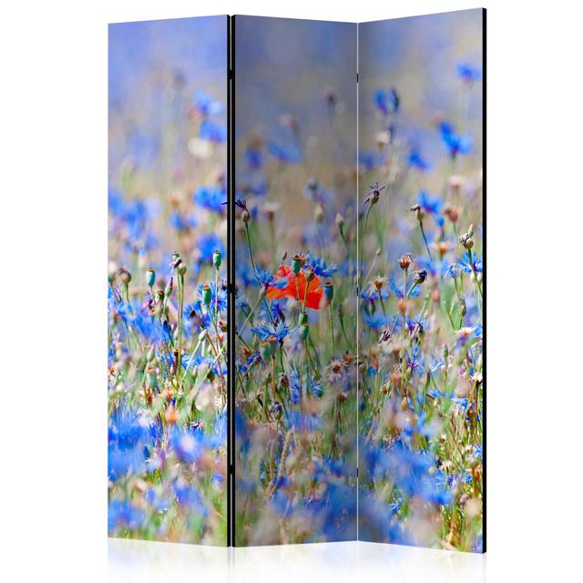 Room Divider - A Sky-Colored Meadow - Cornflowers II [Room Dividers] East Urban Home Number of Panels: 3 on Productcaster.