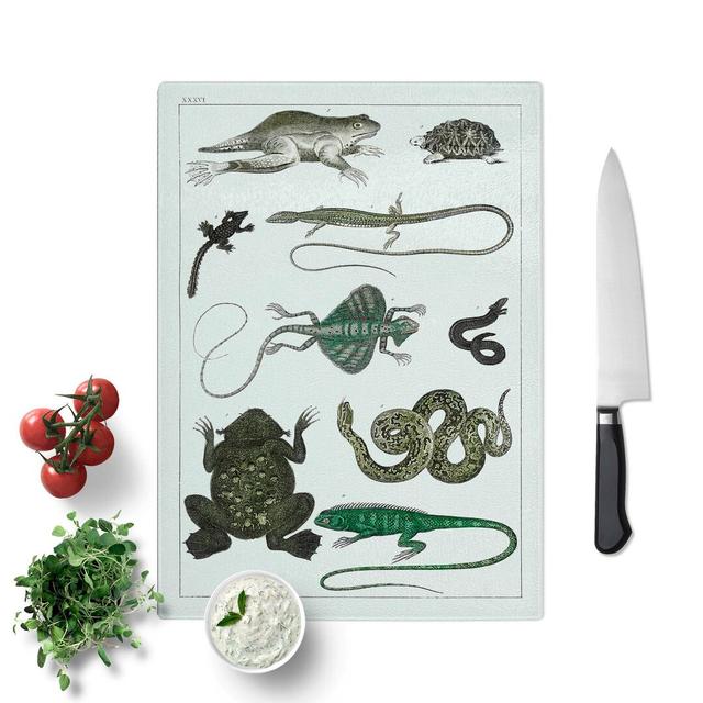 Tempered Glass Various Reptiles XXXVI by Oliver Goldsmith Chopping Board East Urban Home Size: 28.5 cm W x 39 cm L on Productcaster.