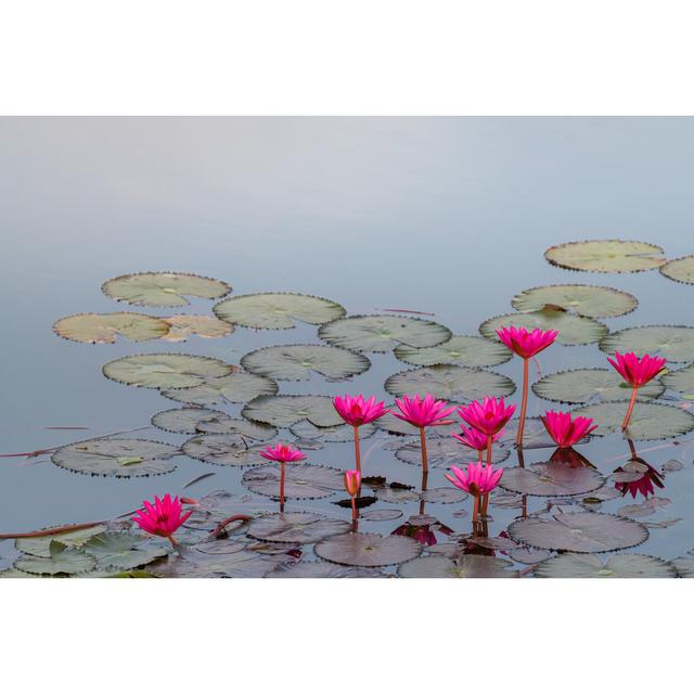 Bright Pink Lotus Blooming In A Pond Bloomsbury Market Size: 51cm H x 76cm W x 3.8cm D on Productcaster.