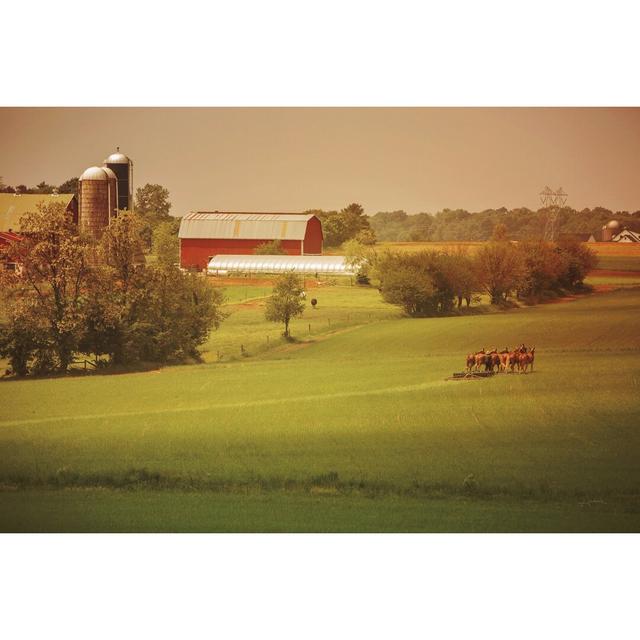 Fall Farm by Aledanda - Wrapped Canvas Print Ebern Designs Size: 61cm H x 91cm W x 3.8cm D on Productcaster.