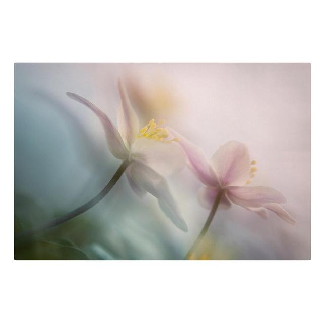 Wood Anemone Art Print on Canvas 17 Stories Size: 60cm H x 90cm W on Productcaster.