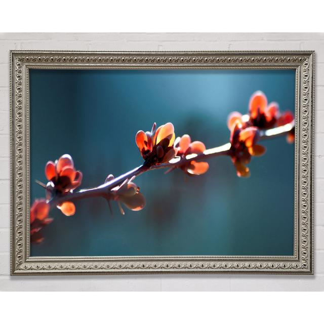 Spikey Flower Branch - Single Picture Frame Art Prints Ebern Designs Size: 42cm H x 59.7cm W x 3cm D on Productcaster.