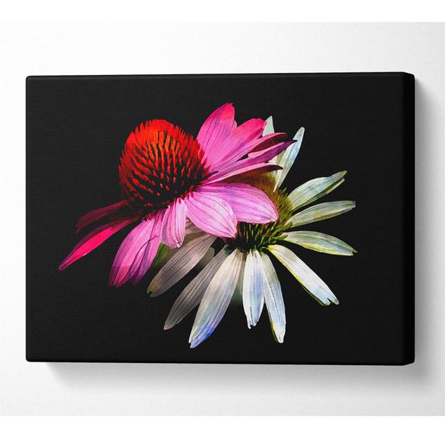 Cone Flowers Black Background - Wrapped Canvas Art Prints Latitude Run Size: 81cm H x 121.9cm W x 10cm D on Productcaster.