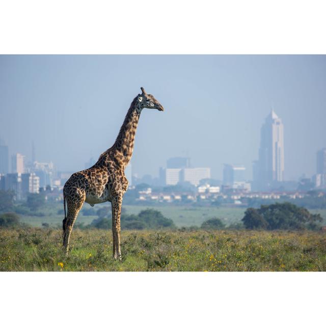 Masai Giraffe - Wrapped Canvas Print 17 Stories Size: 61cm H x 91cm W x 3.8cm D on Productcaster.