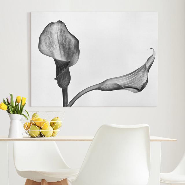 Leinwandbild Calla Nahaufnahme Ebern Designs Format: Leinwand, Größe: 75 cm H x 100 cm B on Productcaster.