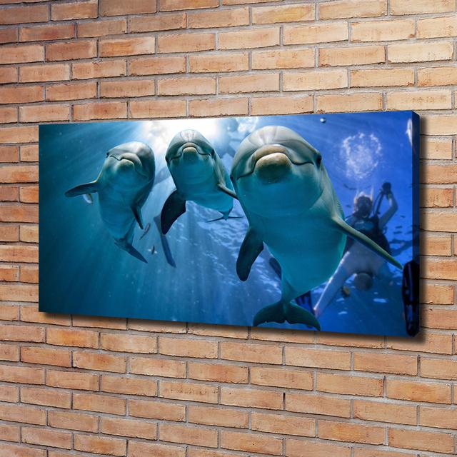 Canvas Print - Wall Art - Prints On Canvas - 120X60 Image Picture Theme: Three Dolphins Highland Dunes on Productcaster.