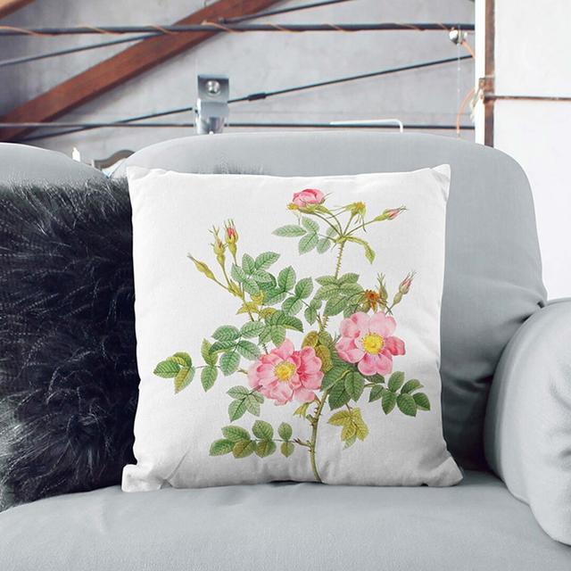 Sweet Briar Roses by Pierre-Joseph Redoute Cushion with Filling East Urban Home Size: 55cm H x 55cm W x 20cm D, Backing Colour: White on Productcaster.