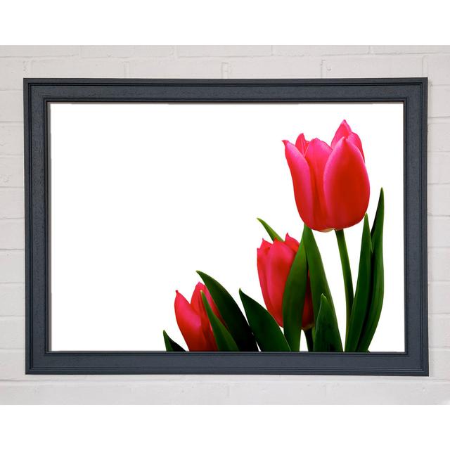 Single Picture Frame Art Prints Ebern Designs Size: 59.7cm H x 84.1cm W on Productcaster.