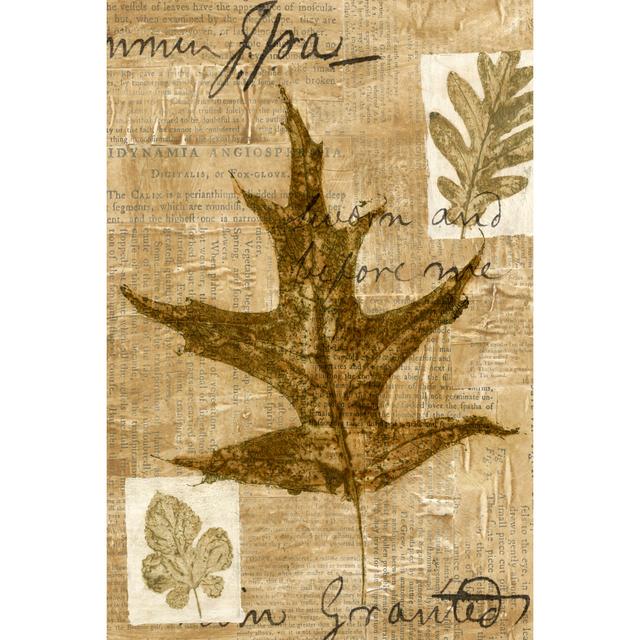 Leaf Collage II by Kate Archie - Wrapped Canvas Art Prints August Grove Size: 46cm H x 30cm W on Productcaster.