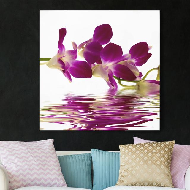 Leinwandbild Pink Orchid Waters East Urban Home Größe: 60 L x 60 B on Productcaster.