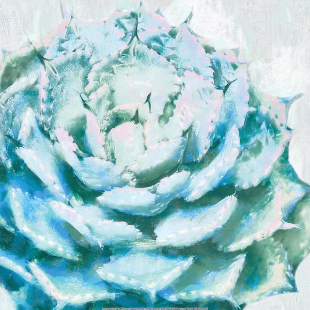 Abstracted Succulent with Teal - Wrapped Canvas Painting Latitude Vive Size: 51cm H x 51cm W x 3.8cm D on Productcaster.