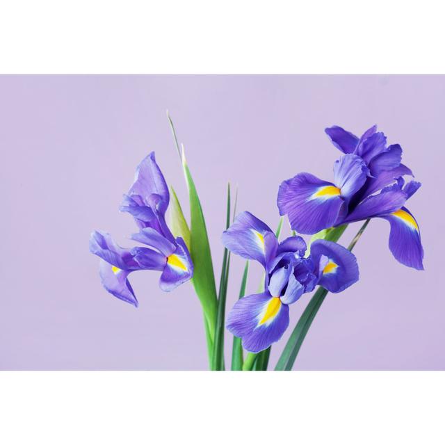 Spring Iris Flowers - Wrapped Canvas Print 17 Stories Size: 61cm H x 91cm W on Productcaster.