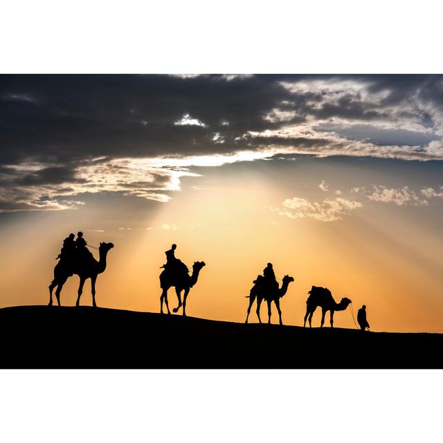 Camel In Thar Desert by ImpaKPro - Wrapped Canvas Print Natur Pur Size: 51cm H x 76cm W on Productcaster.