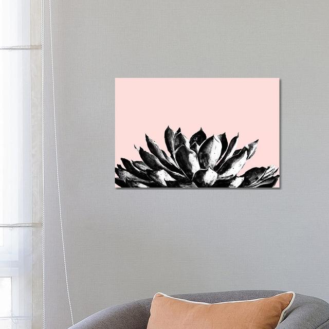 Agave On Blush by Patricia Pinto - Wrapped Canvas Gallery-Wrapped Canvas Giclée 17 Stories Size: 45.72cm H x 66.04cm W on Productcaster.