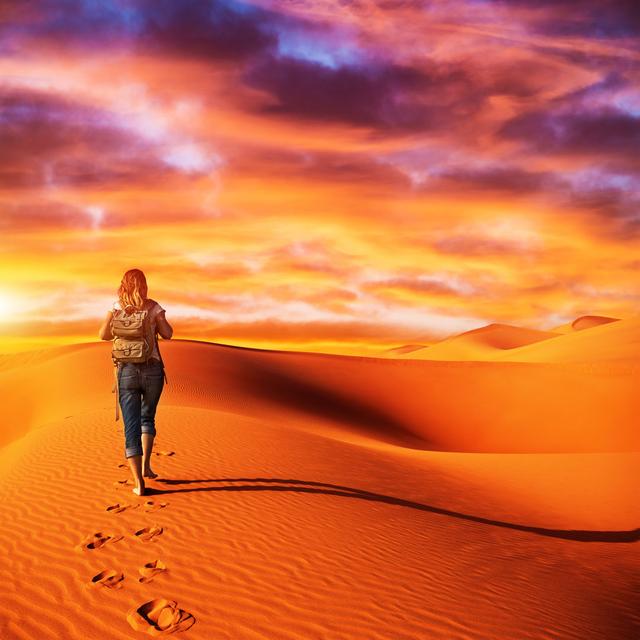 Traveler in the Desert by Anna_Om - Wrapped Canvas Photograph Natur Pur Size: 61cm H x 91cm W on Productcaster.