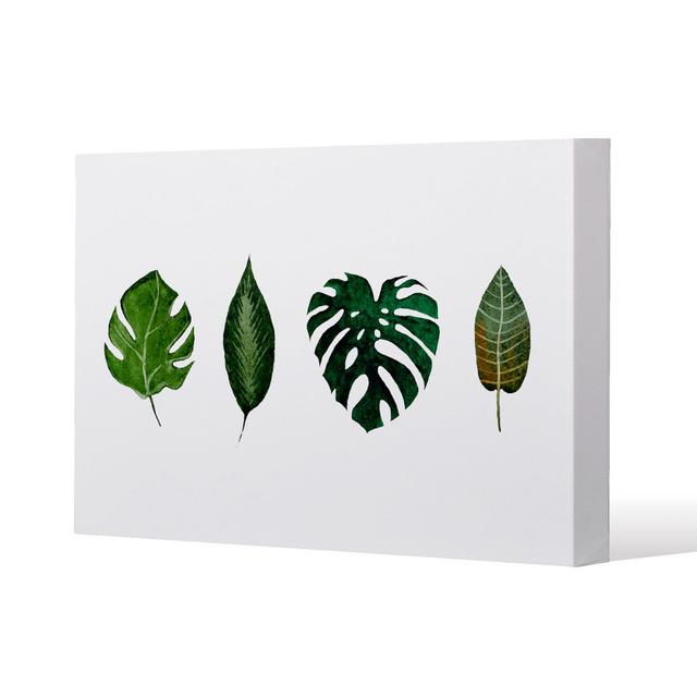 Leaves Selections by Andrew Lee - Wrapped Canvas Print Andrew Lee Size: 51cm H x 77cm W x 4cm D on Productcaster.