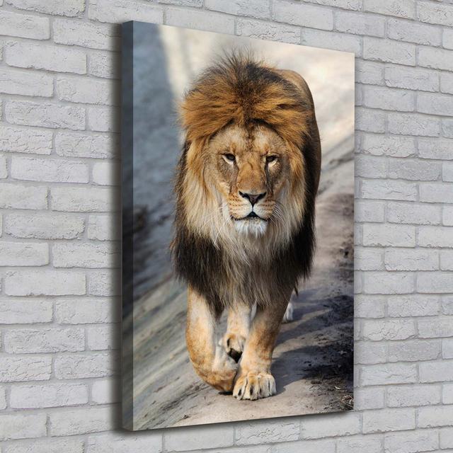 Lion - Wrapped Canvas Art Prints Ebern Designs on Productcaster.