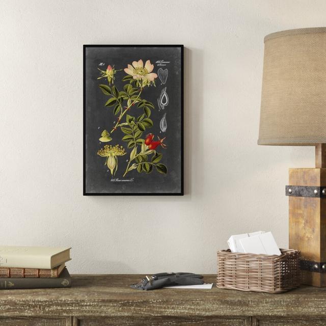 Midnight Botanical I by Vision Studio - Print Marlow Home Co. Size: 46cm H x 30cm W, Format: Wrapped Canvas on Productcaster.