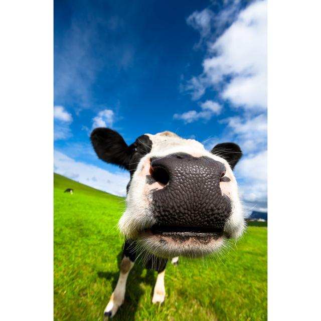 Very Close Cow by Fredrikarnell - Wrapped Canvas Print Brambly Cottage Size: 46cm H x 30cm W on Productcaster.