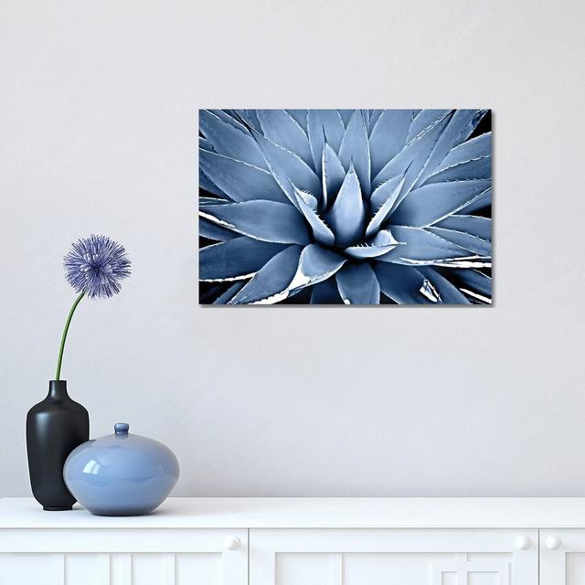 Indigo Succulent III by Mia Jensen - Wrapped Canvas Graphic Art Print 17 Stories Size: 45.72cm H x 66.04cm W x 3.81cm D on Productcaster.