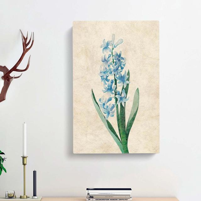 Dutch Hyacinth Flowers by Charles D'Orbigny - Wrapped Canvas Painting Print East Urban Home Size: 76cm H x 50cm W x 3cm D on Productcaster.