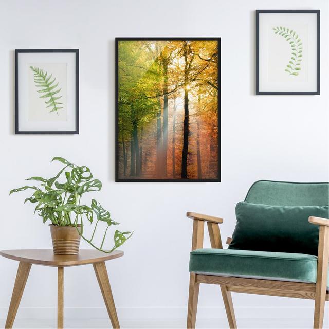 Morning Light - Picture Frame Graphic Art Union Rustic Size: 100cm H x 70cm W x 2cm D, Frame Option: Black Framed on Productcaster.