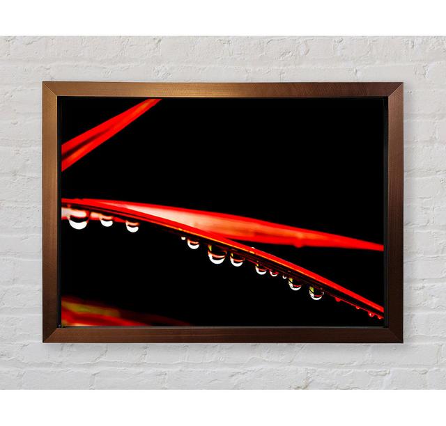 Hanging On - Single Picture Frame Art Prints Ebern Designs Size: 84.1cm H x 118.9cm W x 3.4cm D on Productcaster.