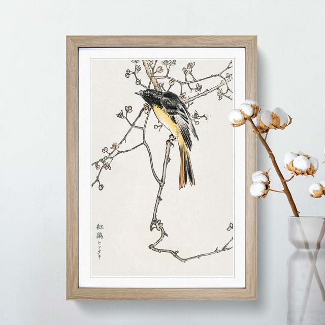 Siberian Blue-Tail Bird by Numata Kashu - Picture Frame Painting Print East Urban Home Size: 50cm H x 35cm W x 2cm D, Format: Oak on Productcaster.