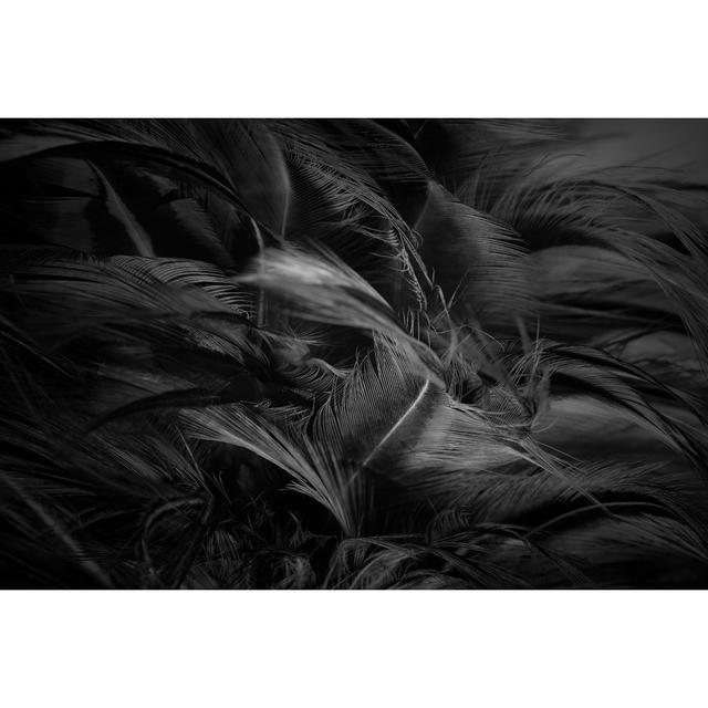 Feather Background - Wrapped Canvas Photograph Bloomsbury Market Size: 20cm H x 30cm W x 3.8cm D on Productcaster.