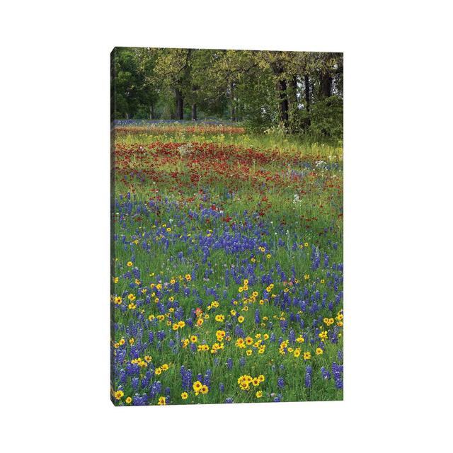 Sand Bluebonnet, Drummond's Phlox and Tickseed, Fort Parker State Park, Texas II by Tim Fitzharris - Wrapped Canvas Photograph ClassicLiving Size: 45. on Productcaster.