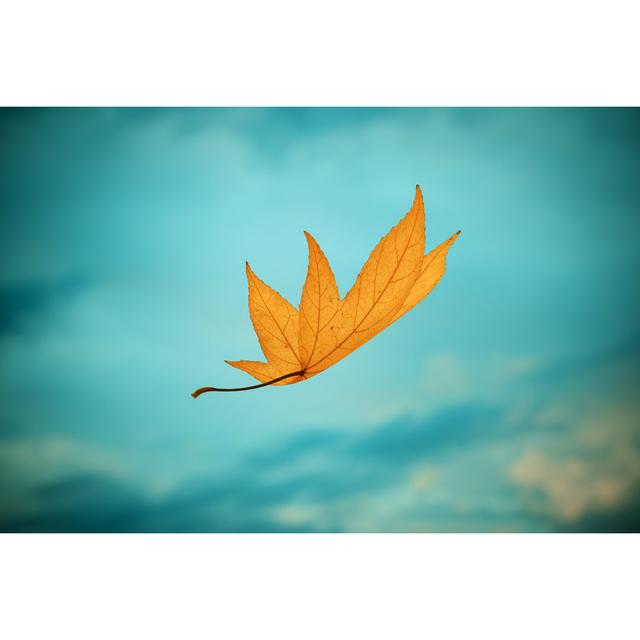 Falling Autumn Leaf - Wrapped Canvas Art Prints 17 Stories Size: 51cm H x 76cm W x 3.8cm D on Productcaster.