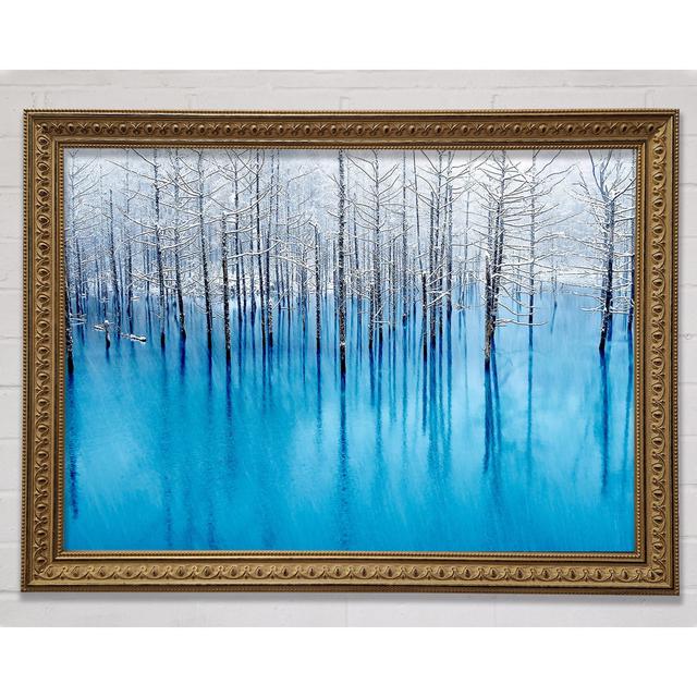 Snow Pond - Single Picture Frame Art Prints Bright Star Size: 21cm H x 29.7cm W on Productcaster.