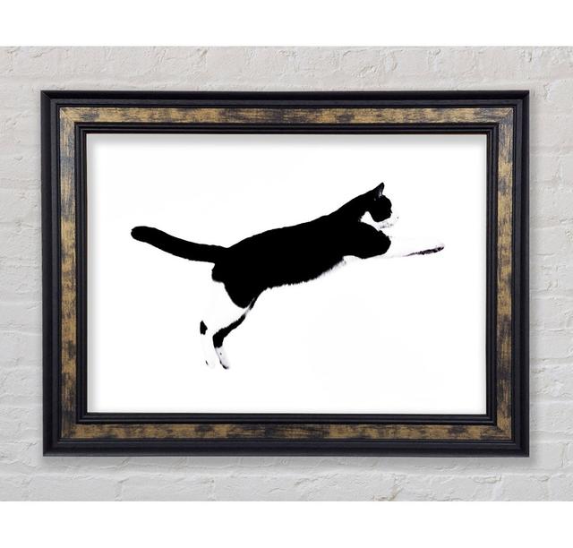 Jumping Cat - Single Picture Frame Art Prints Bright Star Size: 84.1cm H x 142.2cm W x 8cm D on Productcaster.