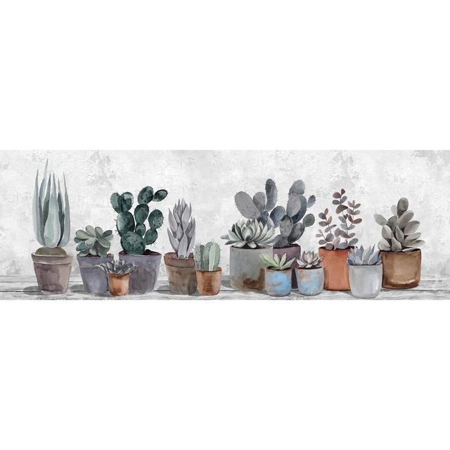 Succulent Collection by Latitude Vive - Wrapped Canvas Painting Latitude Vive Size: 30cm H x 91cm W x 3.81cm D on Productcaster.