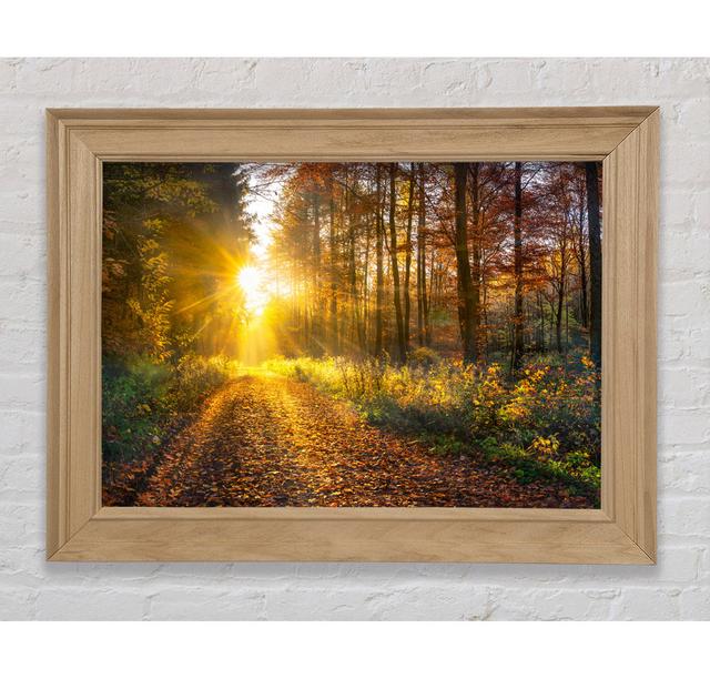 Woodland Walk In The Autumn - Single Picture Frame Art Prints Bright Star Size: 100cm H x 141.4cm W x 8cm D on Productcaster.