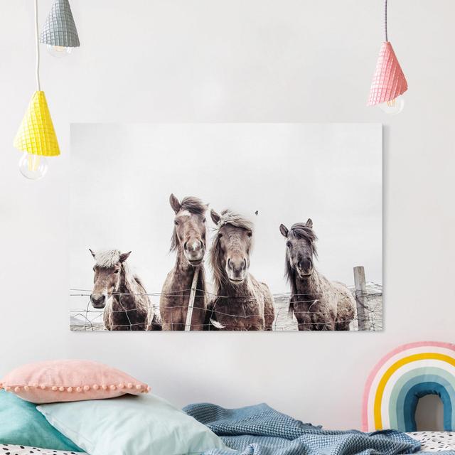 Leinwandbild Icelandic Horses von Monika Strigel Sommerallee on Productcaster.