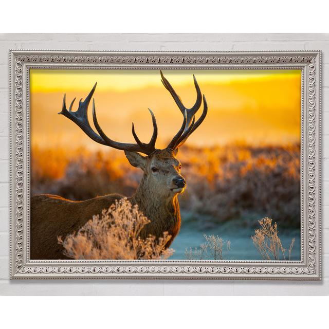 Crisp Winters Stag Framed Print Bright Star Size: 100cm H x 141.4cm W x 3cm D on Productcaster.