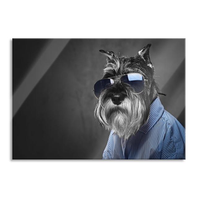 Glass art | Mural on real glass | Funny dog with shirt and sunglasses black and white | Incl. Suspension and spacers Happy Larry Size: 60cm H x 80cm W on Productcaster.